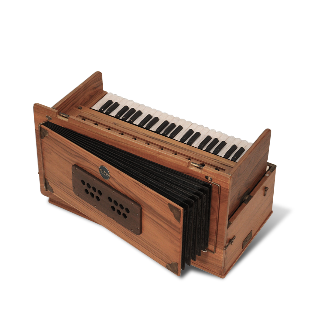 Old delhi music harmonium deals
