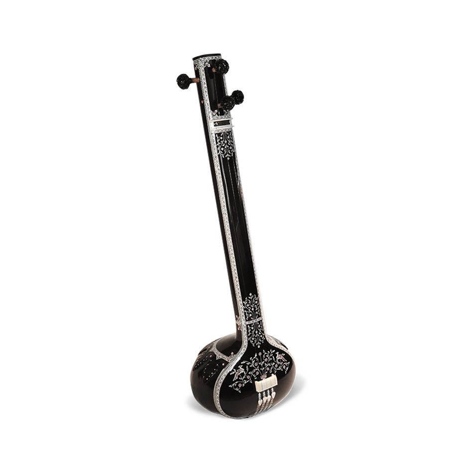 Shop Sitars & Tanpura: Indian Instruments Sold in the USA – Old Delhi Music